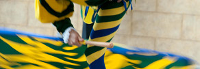 Nobil Contrada del Bruco